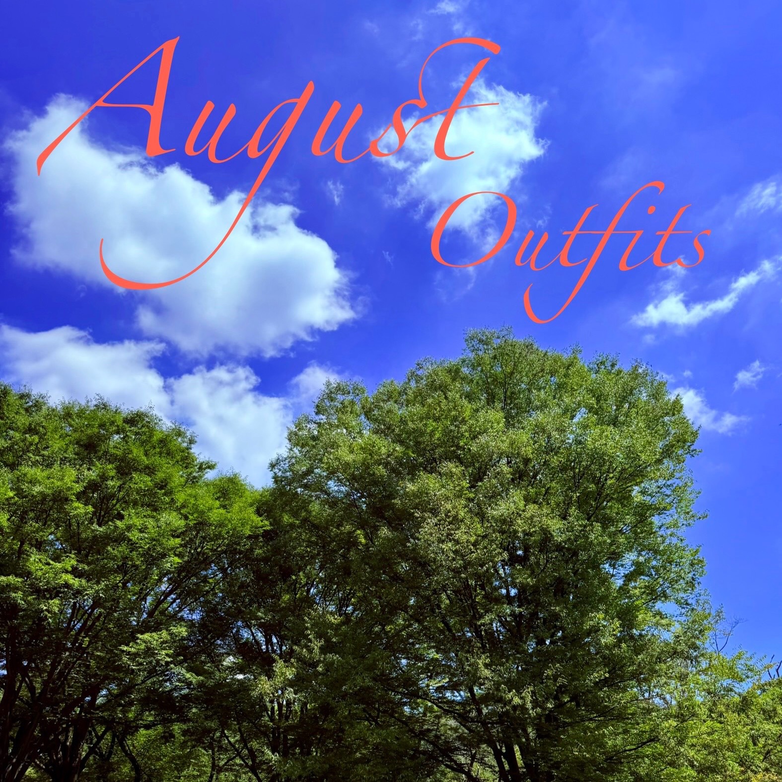 【八月は何を着た⁉︎】店主の格好vlog