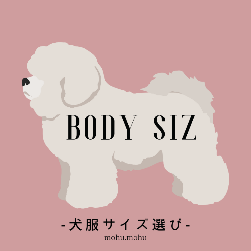 ▼犬服のサイズ選びについて꒰ ՞•ﻌ•՞ ꒱