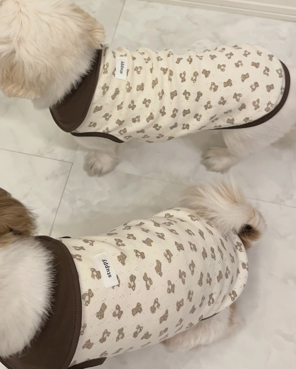 stuppy 1周年記念オリジナルアイテム紹介♡