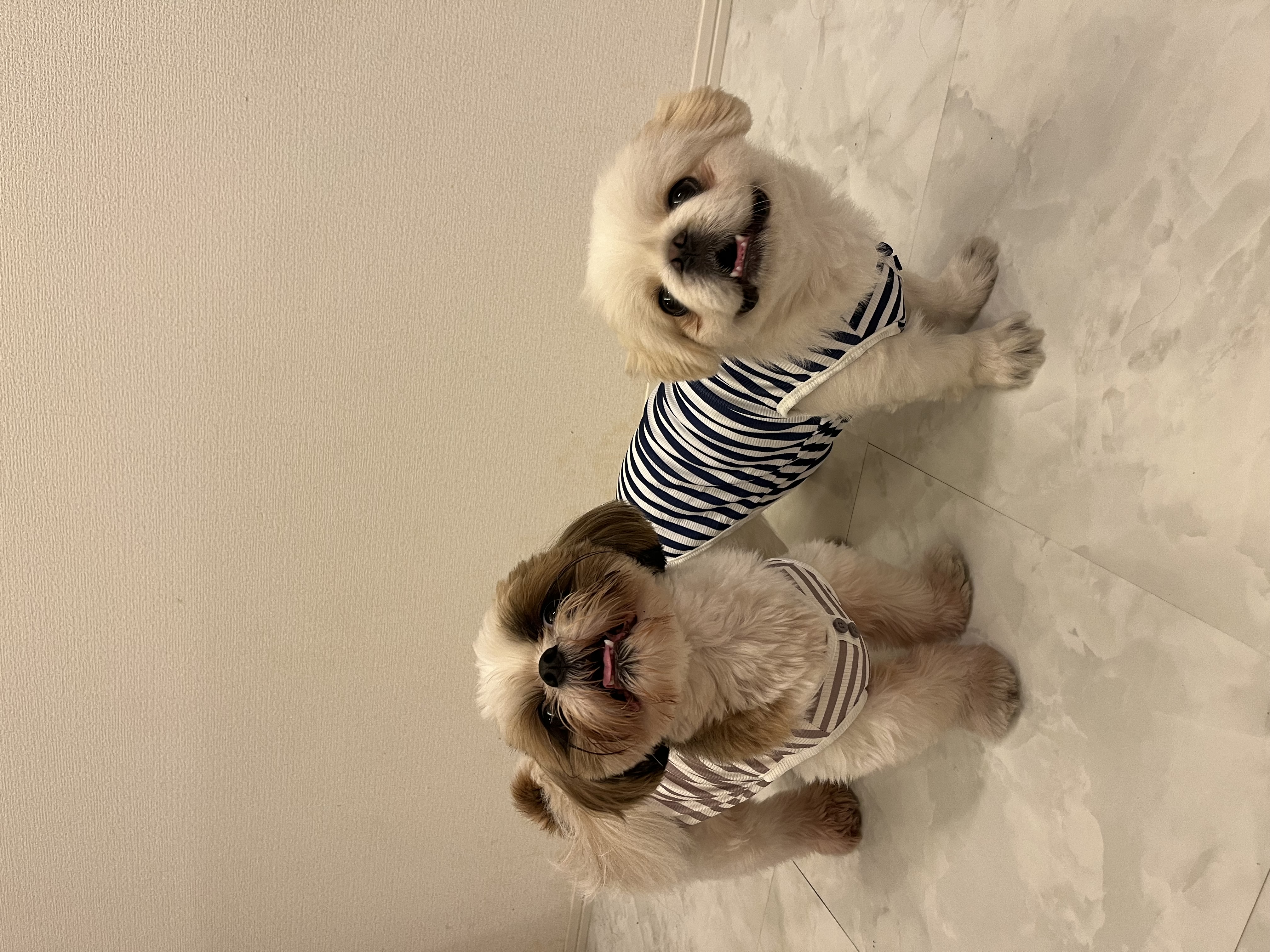 ☆冬の寒さ対策ガイド☆