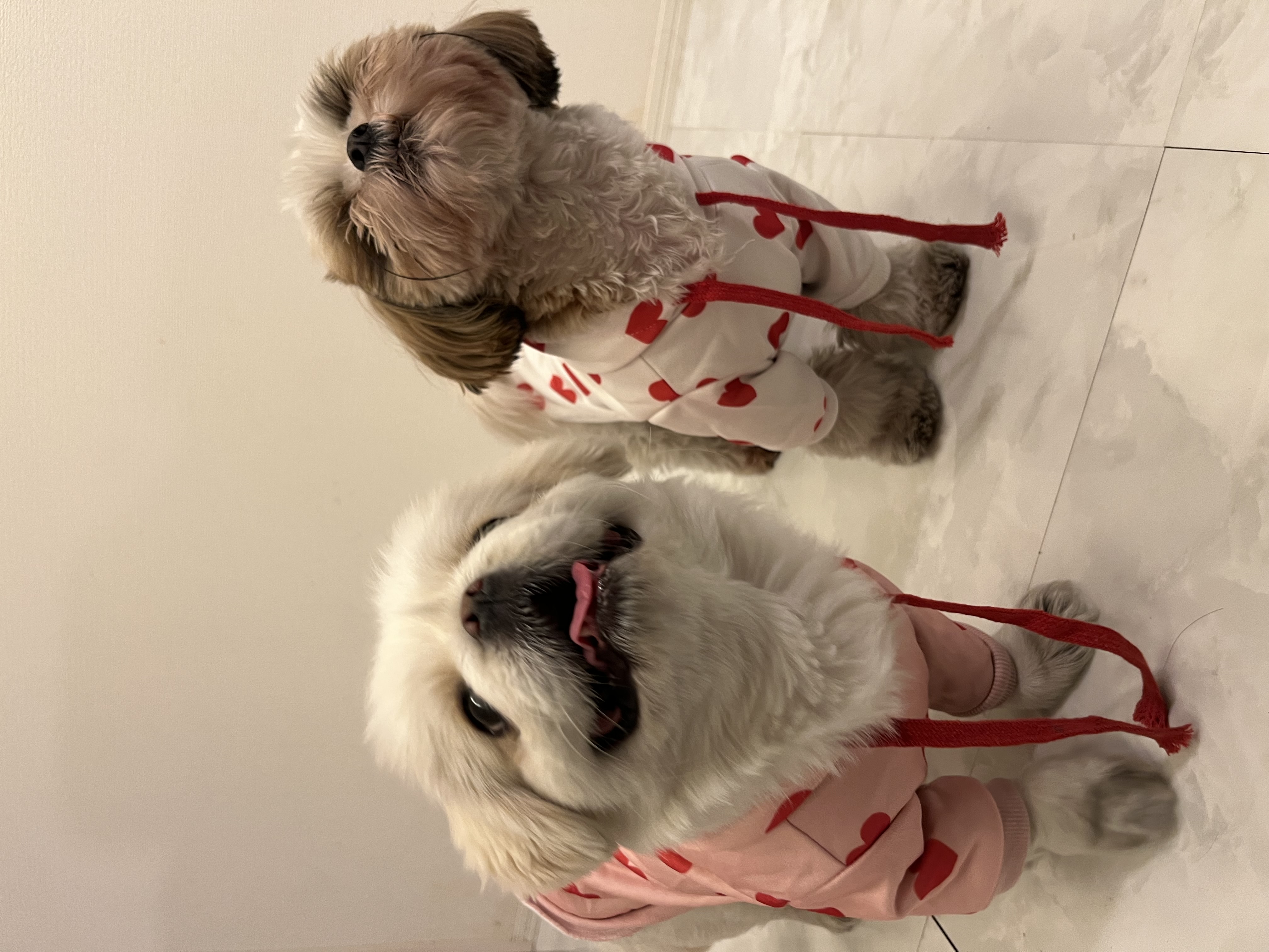 ☆2月商品の見どころ☆