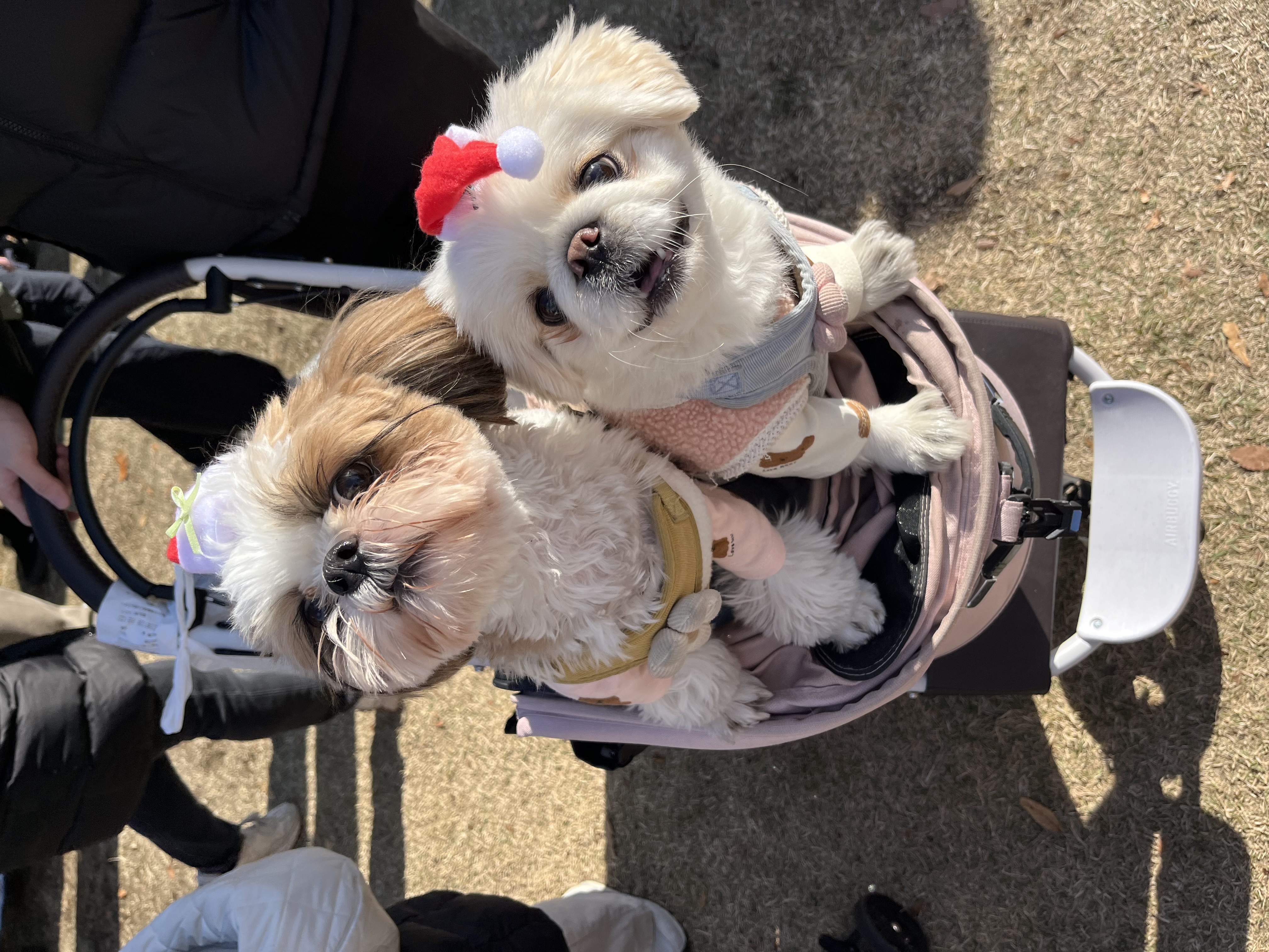 〜クリスマス☆おすすめオシャレ3選〜