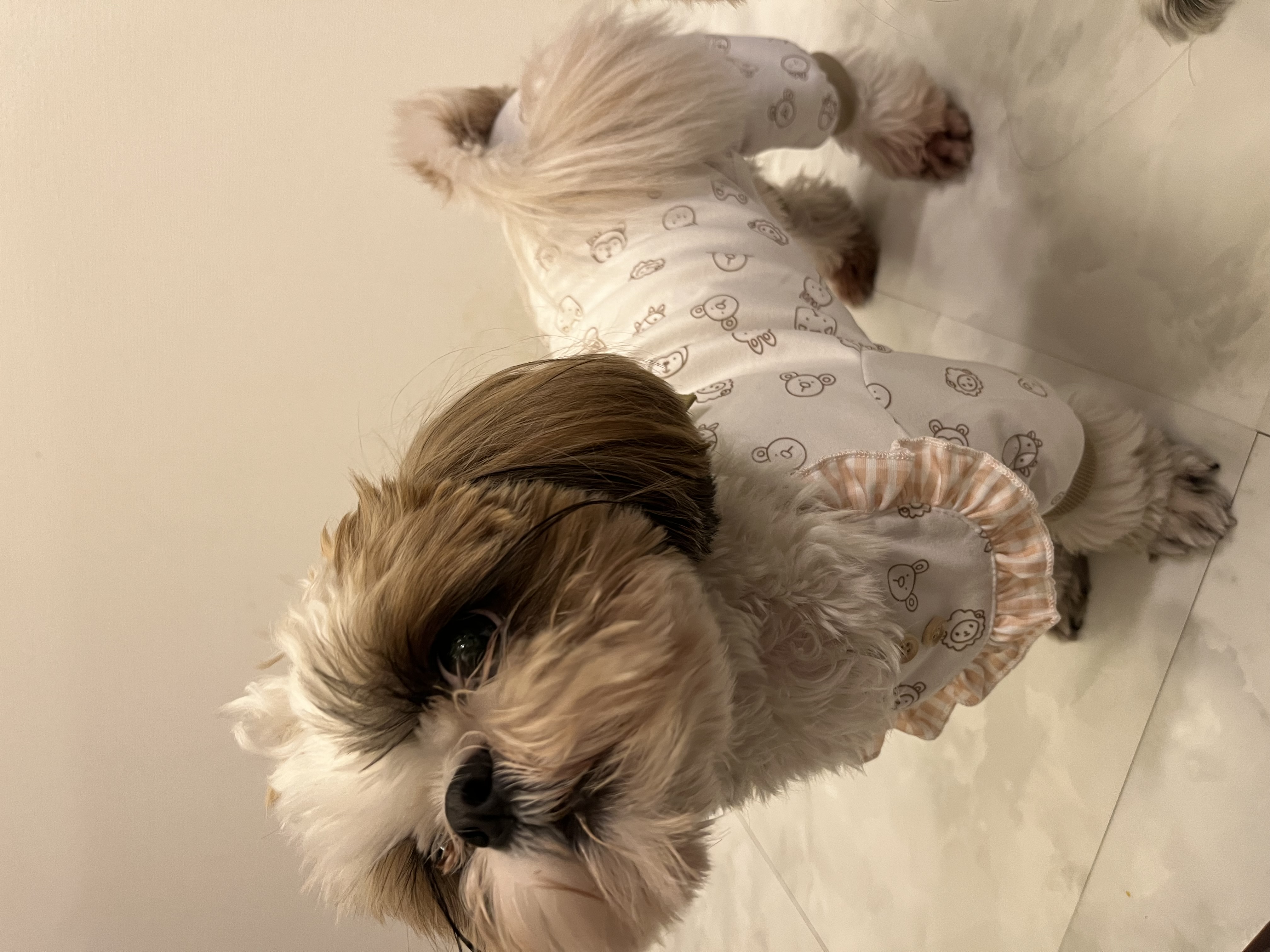 ☆12月新作アイテム紹介☆