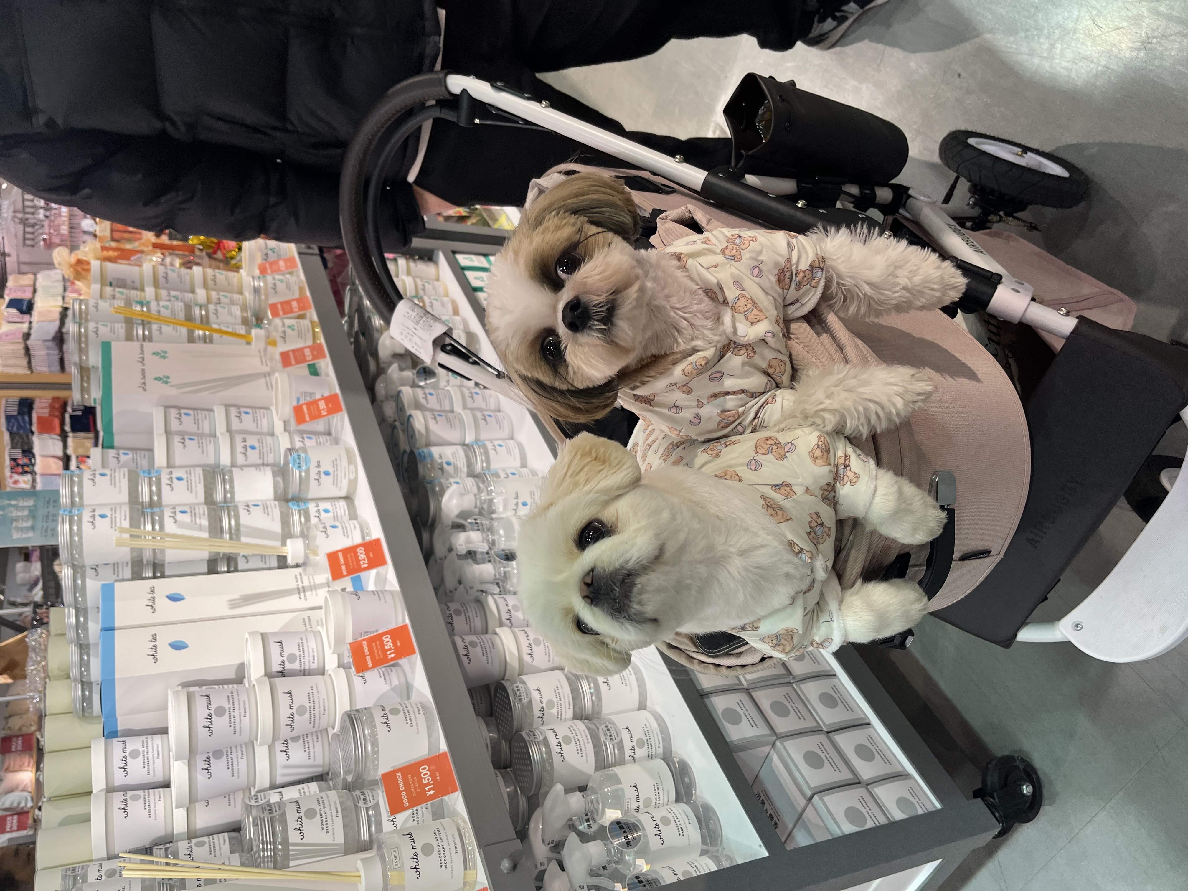 ♡新年のご挨拶♡