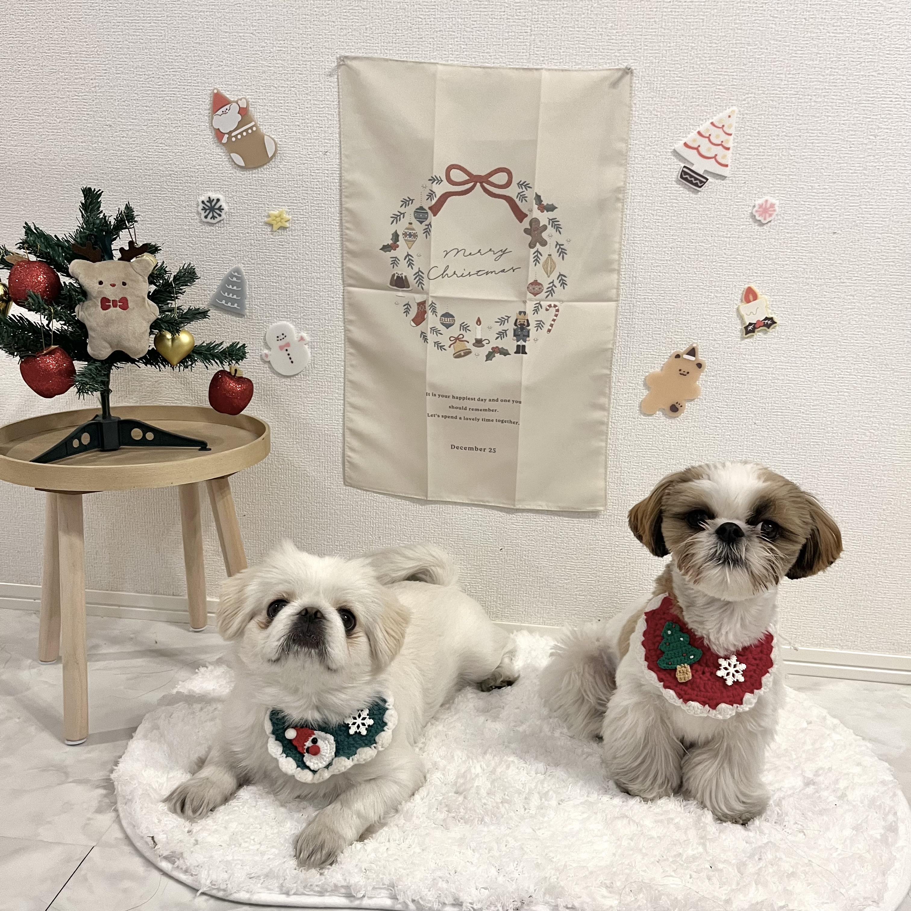 クリスマスどう過ごす？