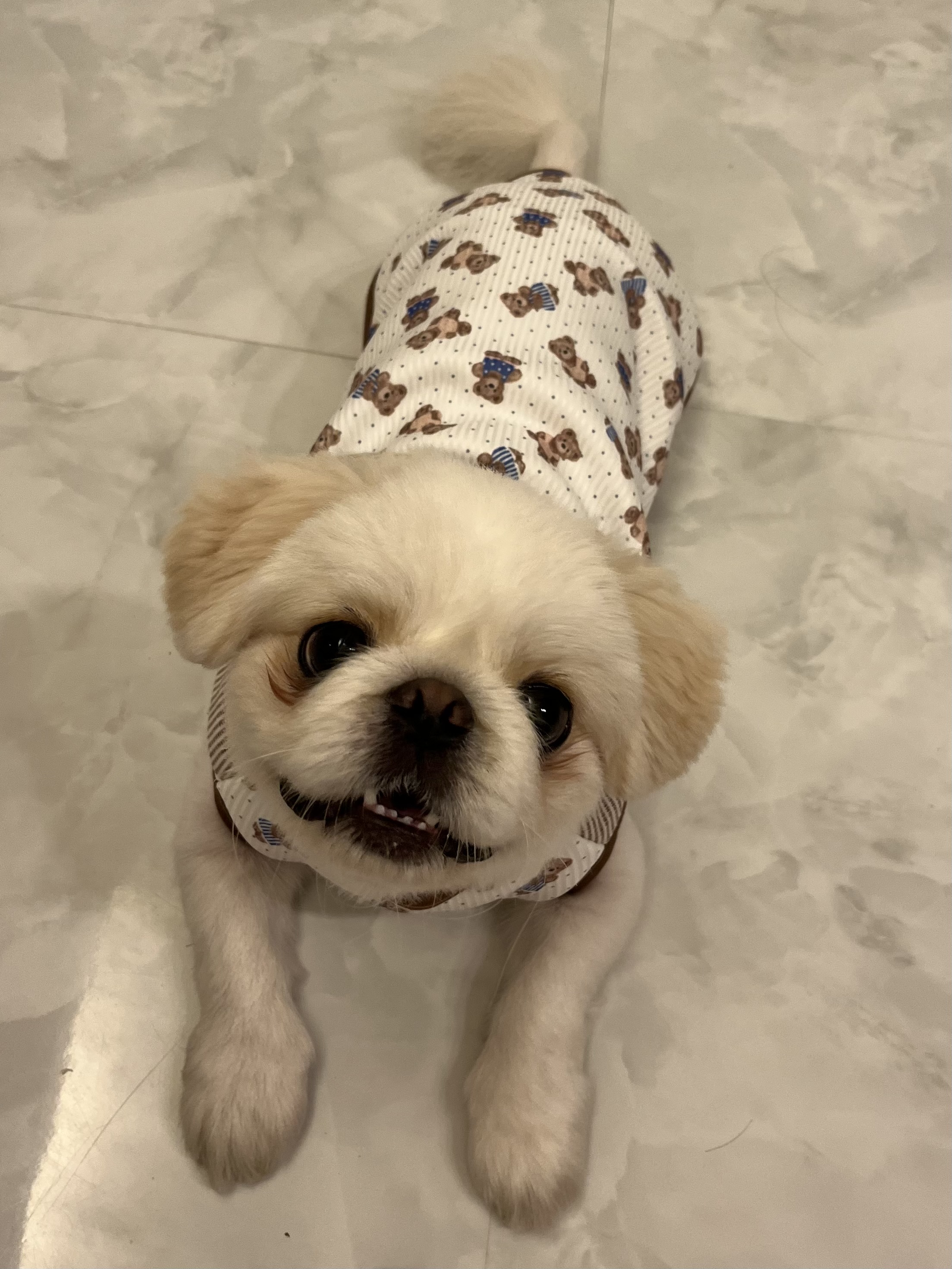 ♡9月商品見どころ紹介♡