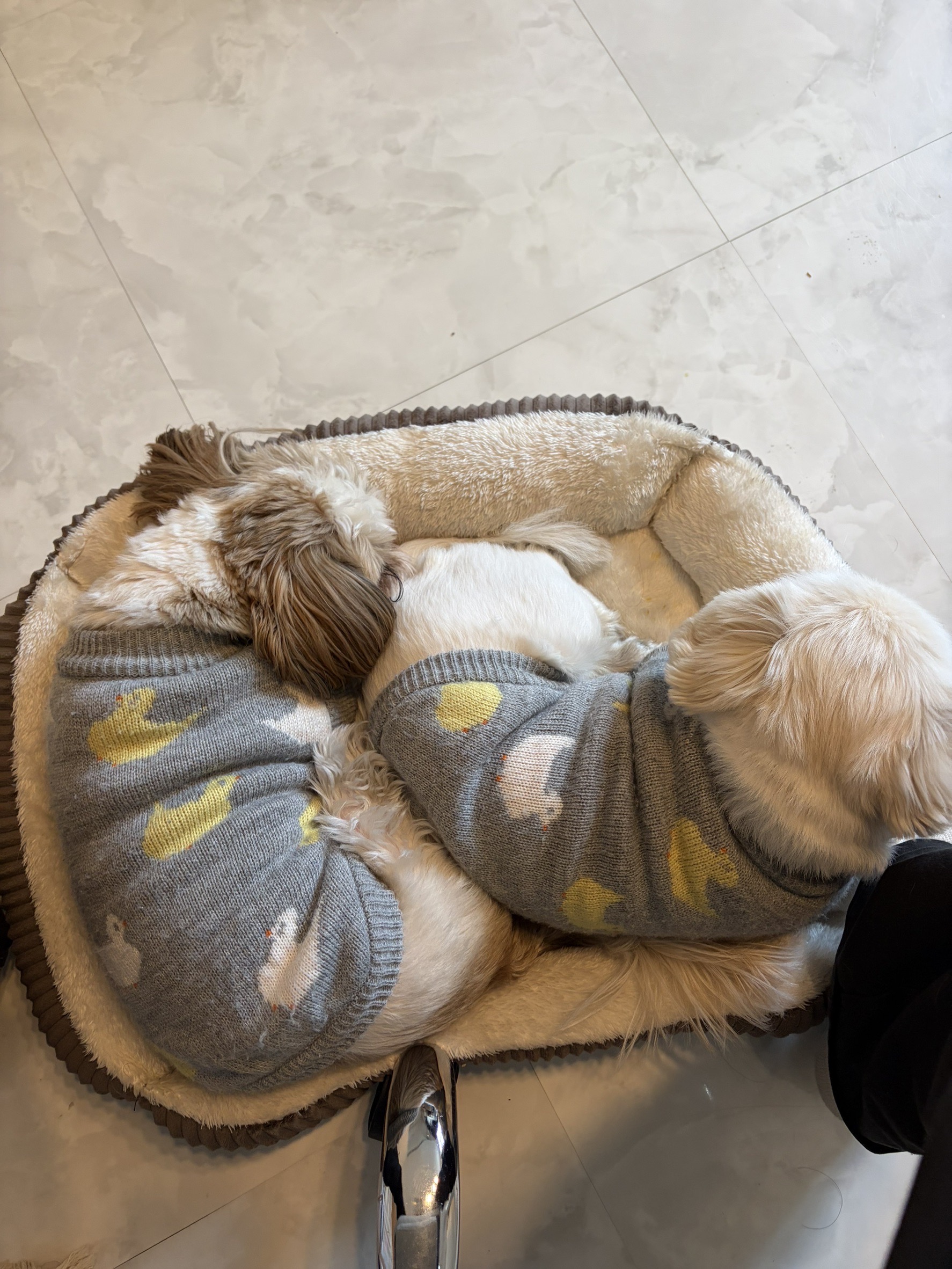 雪の日の過ごし方♡