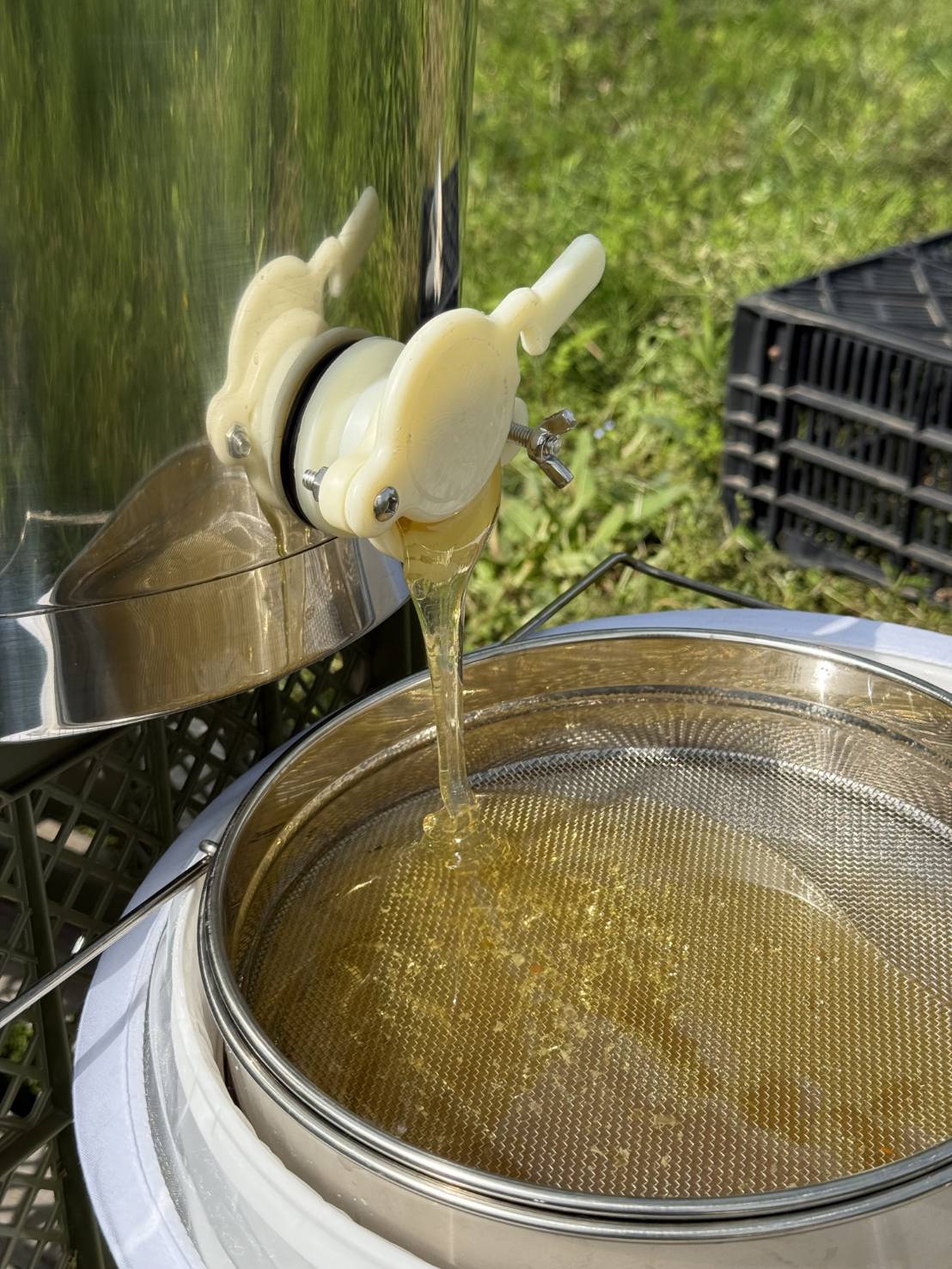 2025 春蜜が採れました