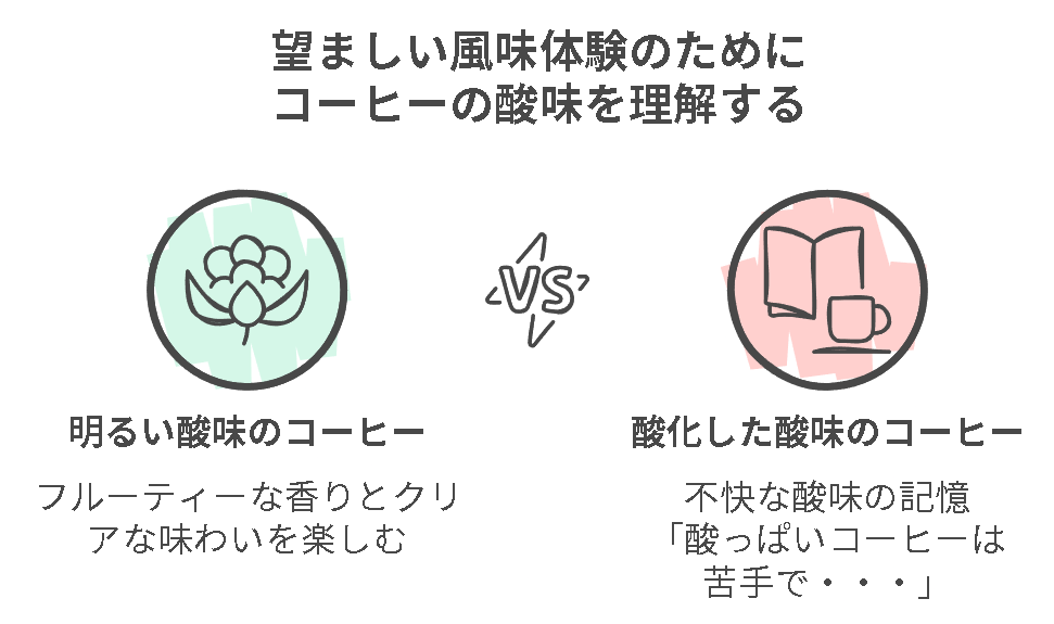 明るい酸味のコーヒーと酸化して酸っぱくなったコーヒーの違いを科学的に解説