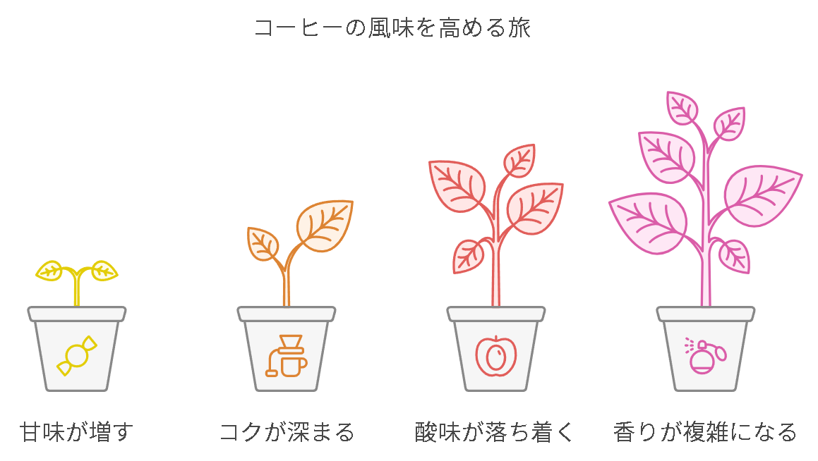 コーヒー焙煎豆のエージングとは？