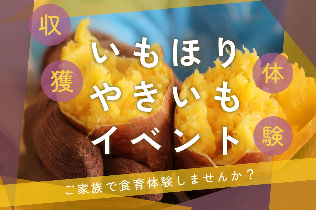芋掘り体験イベントのお知らせ