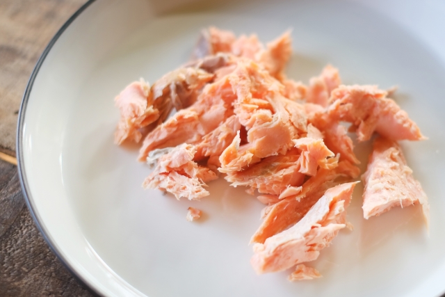 ペットのための手作り食とおすすめレシピ！健康維持と食事変更のポイント