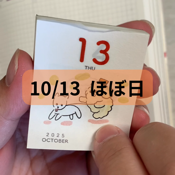 10/31 インスタリール投稿しました!