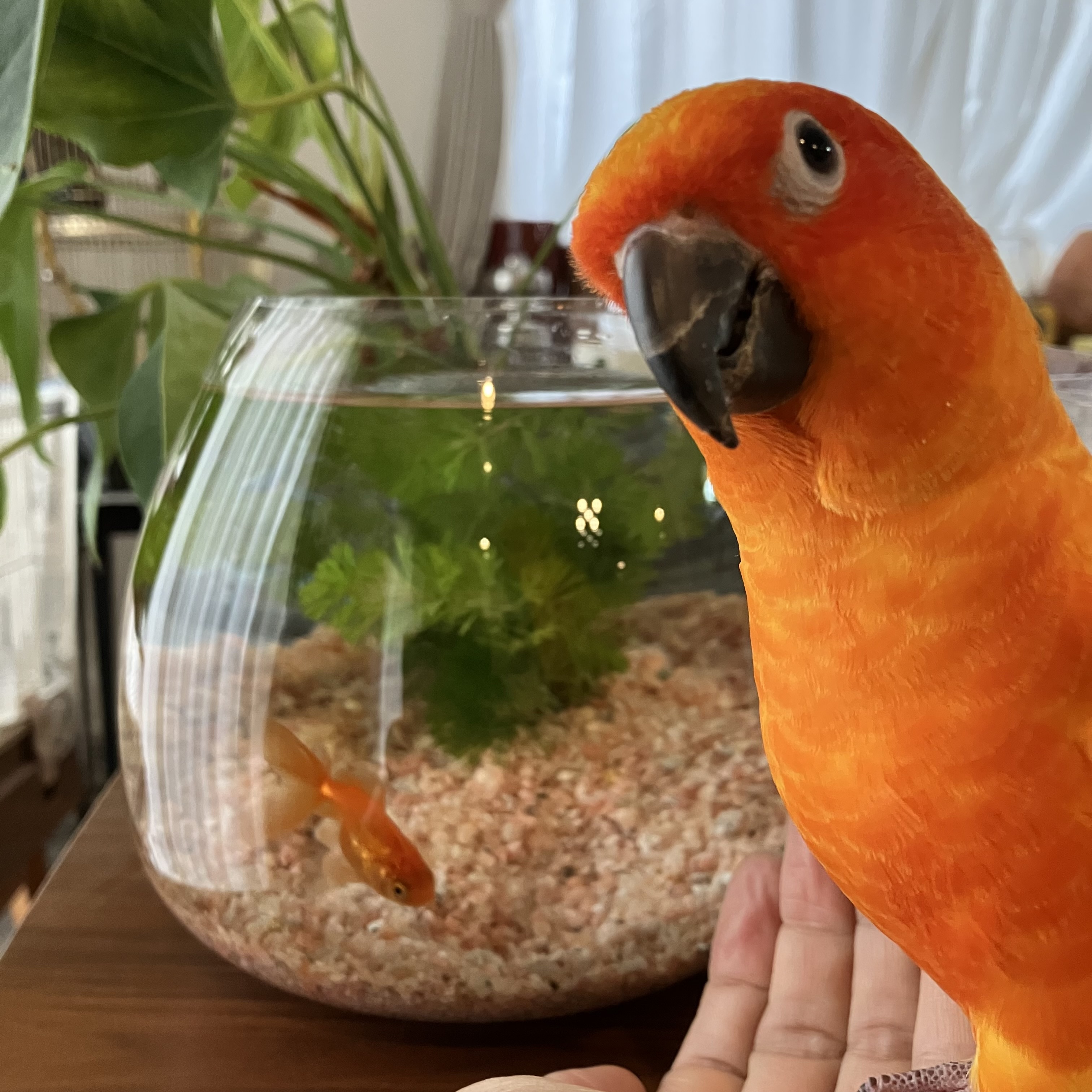 今年もありがとうございました