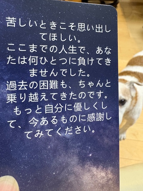 朝から、津波警報。