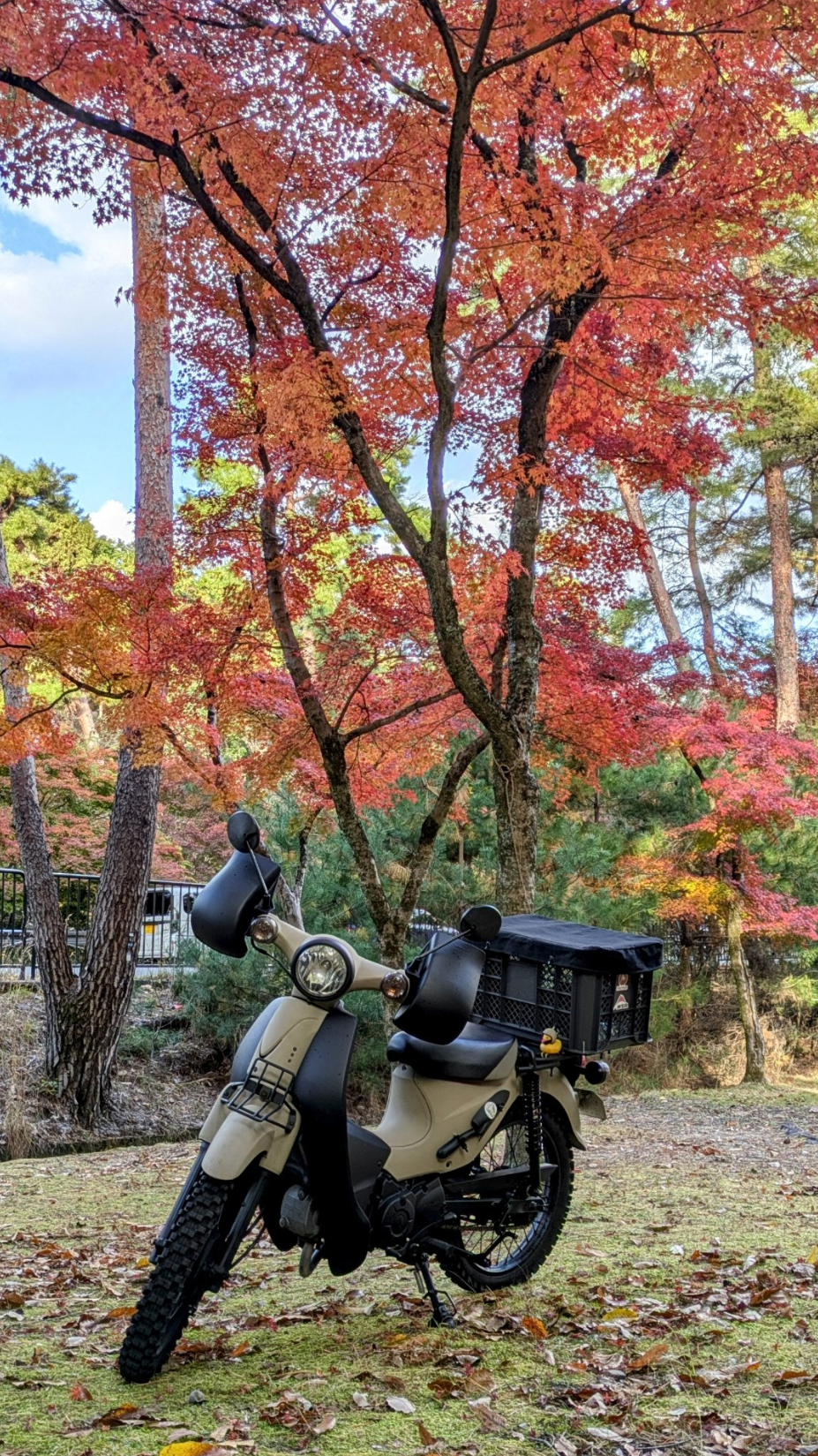 紅葉のツーリング良いですが、落ち葉が多い時期の注意事項です。