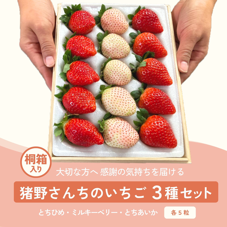 12/15(月)より桐箱入り商品の販売開始いたします