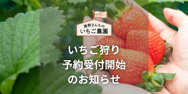 いちご狩り予約受付開始のお知らせ