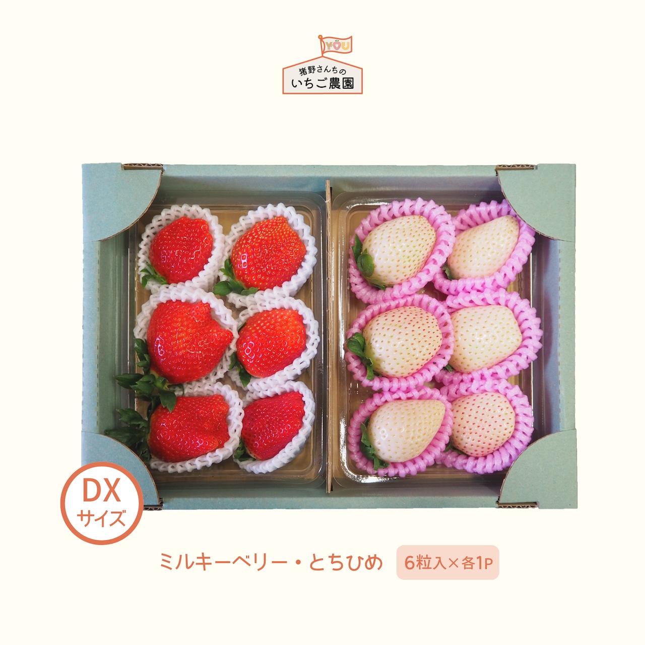 「とちひめ」「ミルキーベリー」12/1より6商品が注文受付開始!
