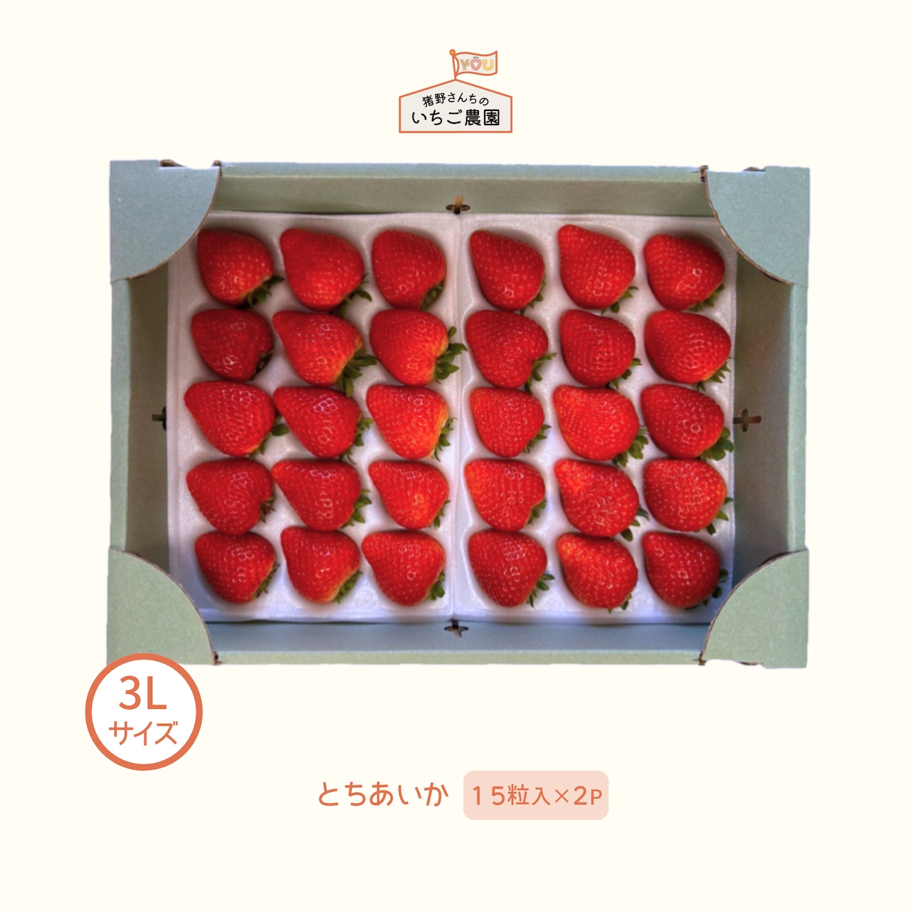 本日、11/27(大安)より注文順に発送開始!