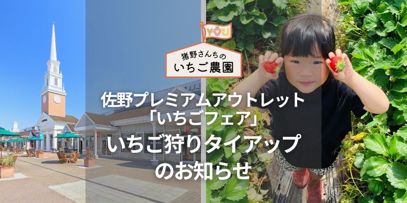 佐野プレミアム・アウトレット「とちぎいちごフェア」いちご狩りタイアップのお知らせ