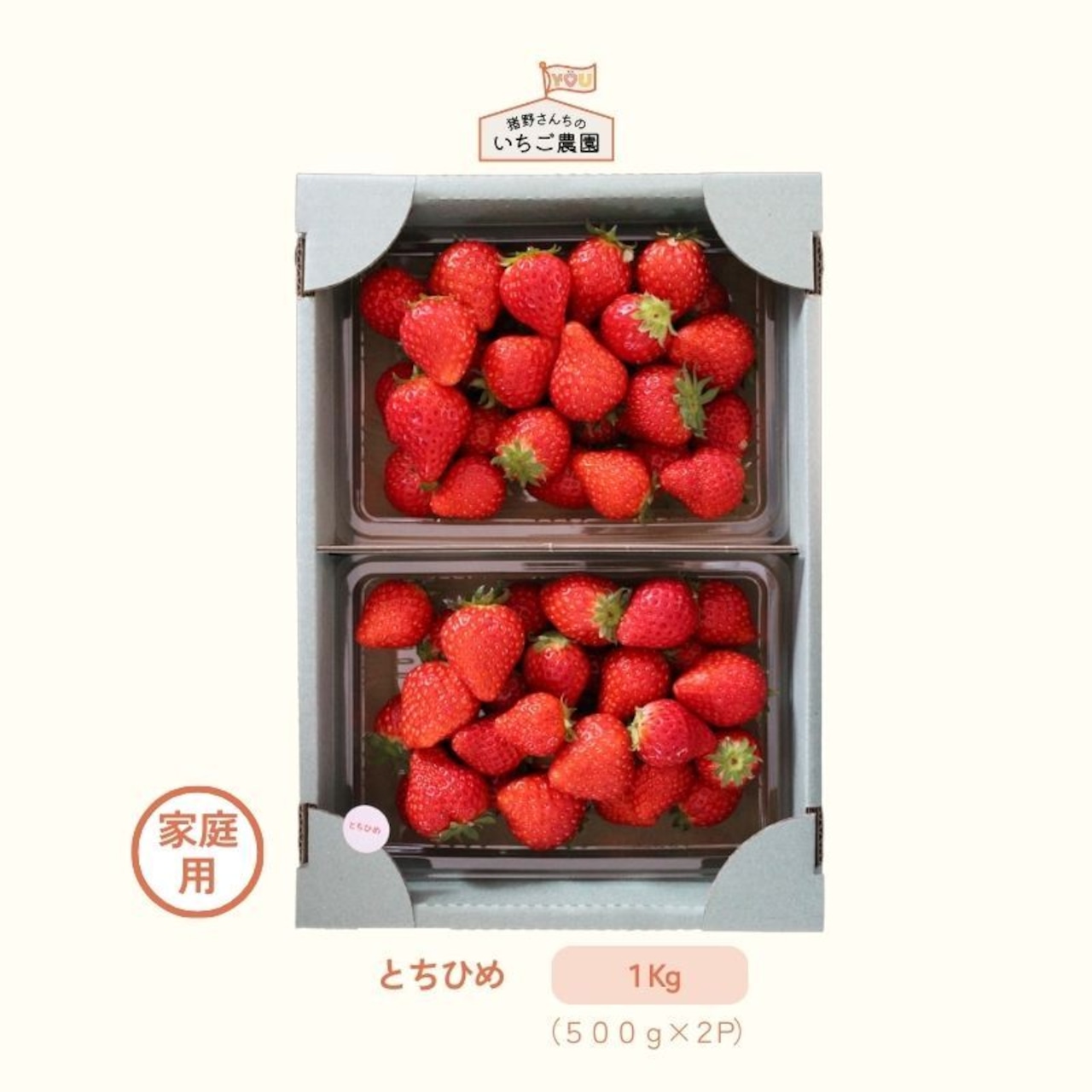 幻のいちご「とちひめ」の販売につきまして