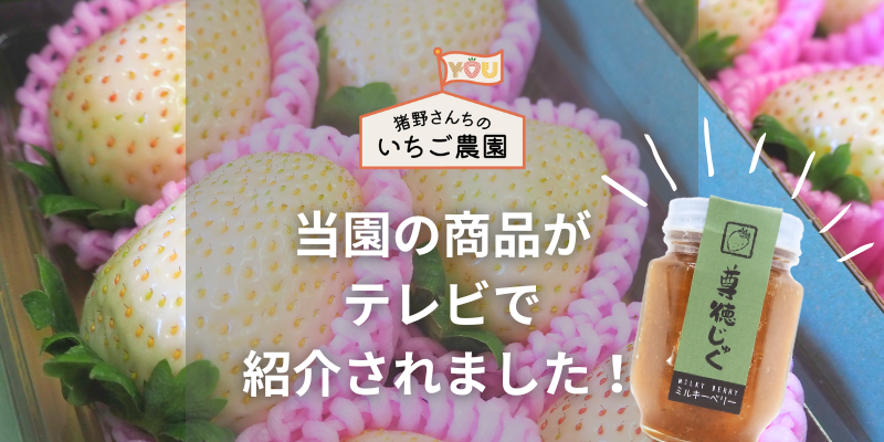日本テレビ系列「ヒルナンデス!」で当園の商品が紹介されました!