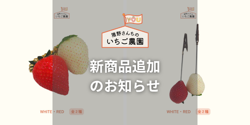 『食べられない苺』　販売開始のお知らせ