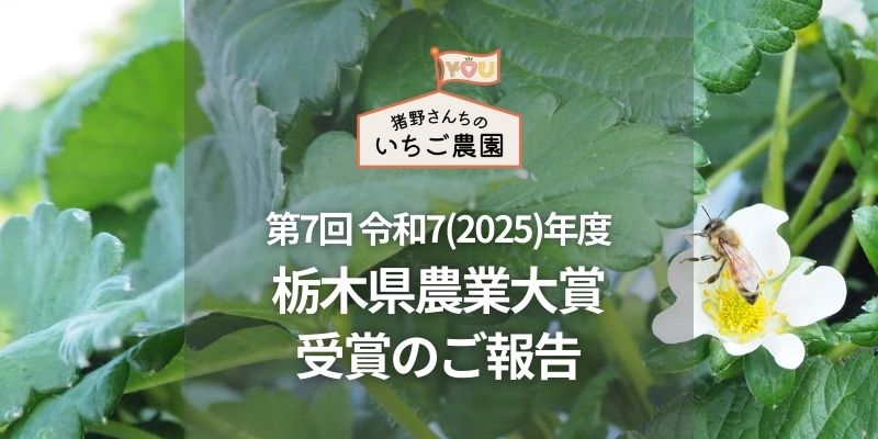 第7回 令和7(2025)年度 栃木県農業大賞を受賞しました