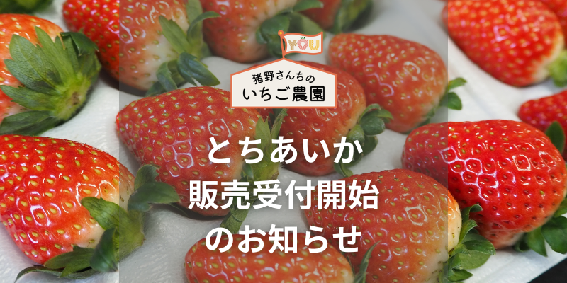 「とちあいか」販売開始のお知らせ