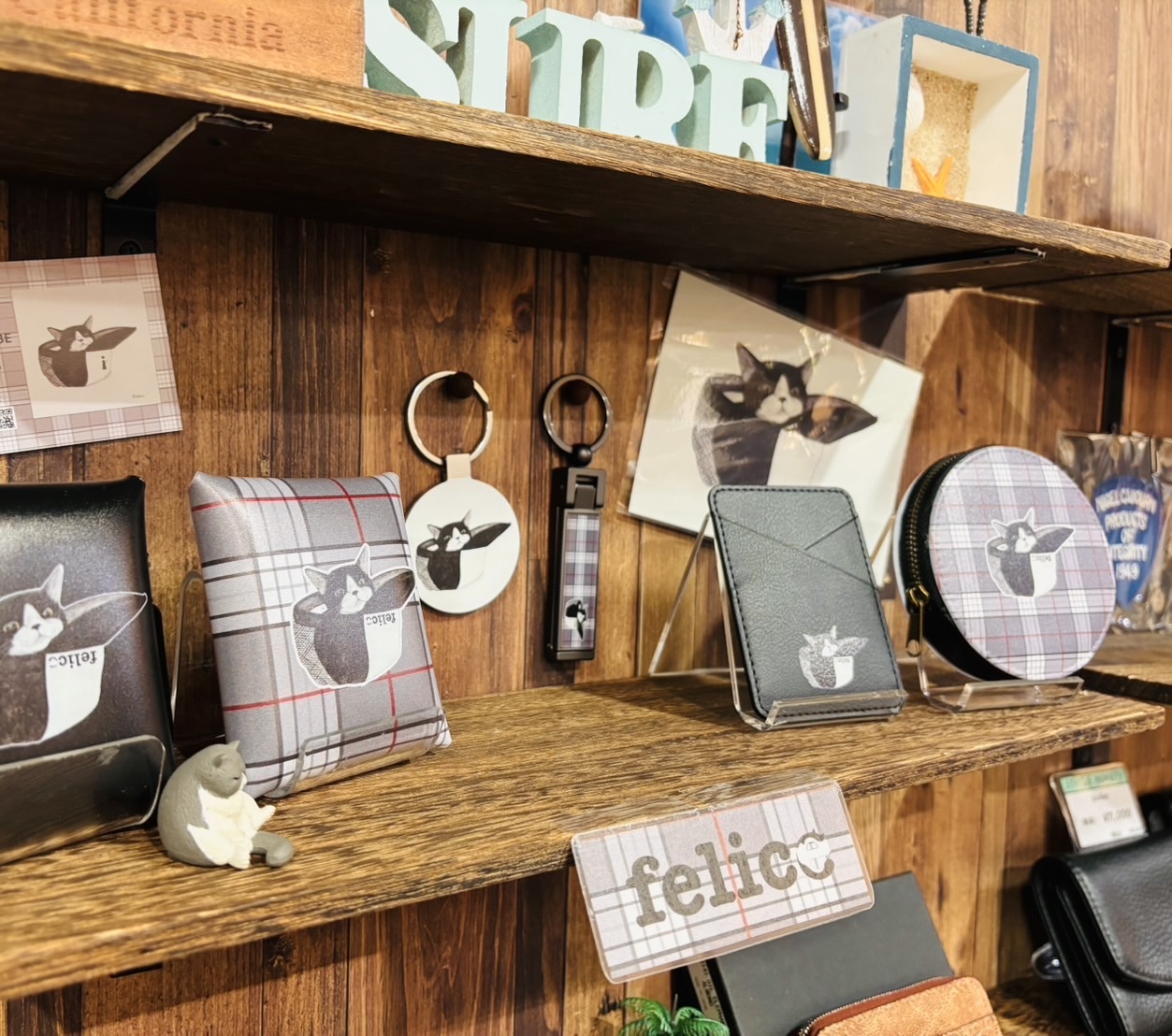 🐾Storia KAWSHIMA 東急プラザ蒲田店様にて