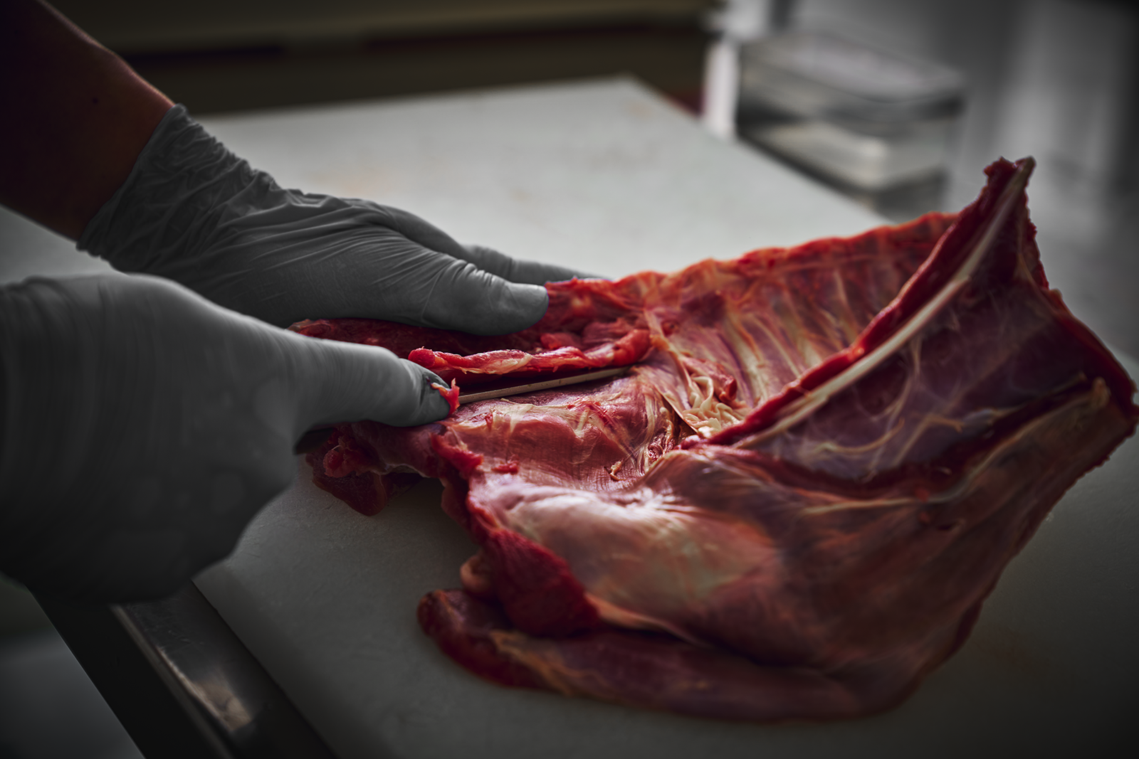 似て非なる、もうひとつの肉——猪肉という目覚め