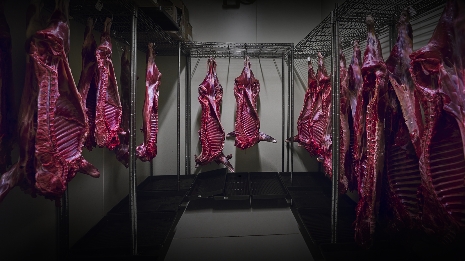 72万と52万の“食べもの未満”の話