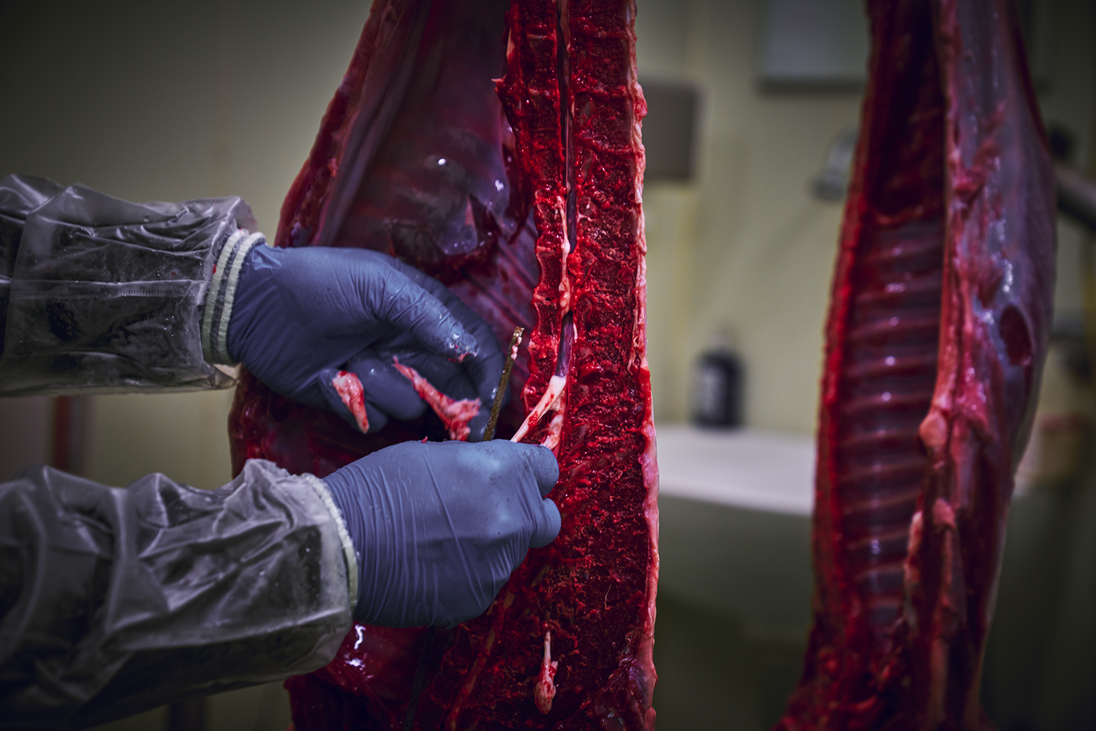 捨てる肉だから安い?——いや、むしろ手間が異常