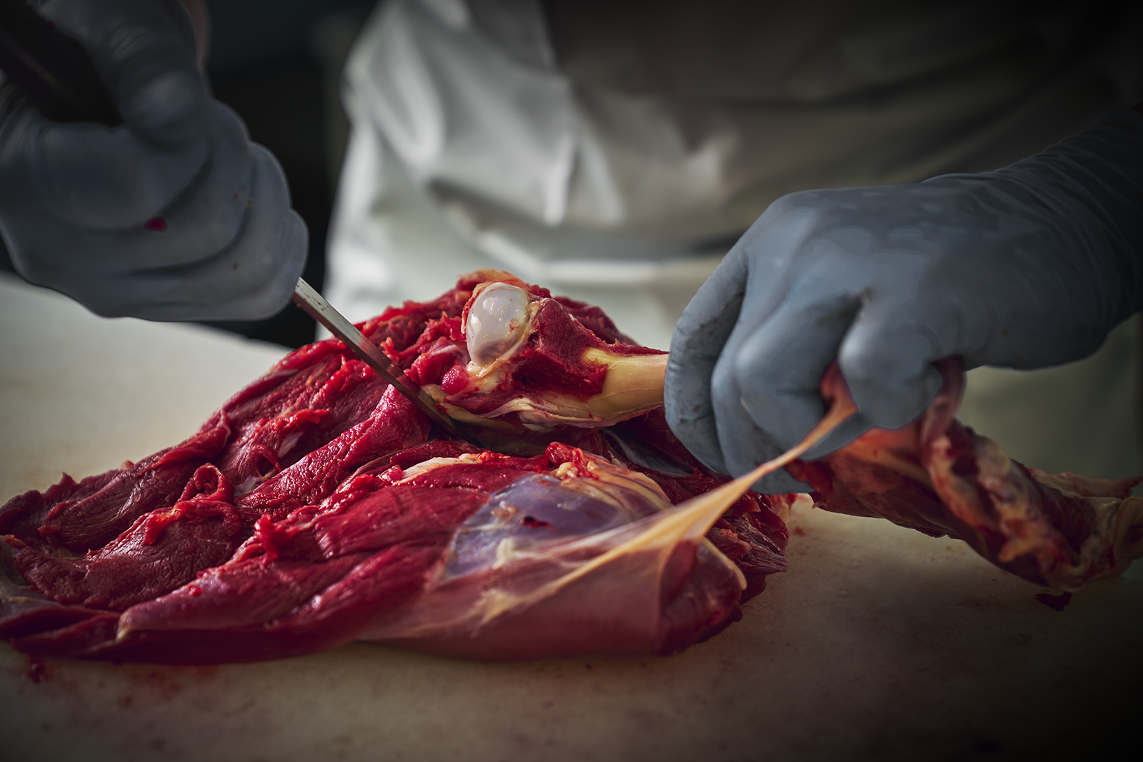 ジビエは個体差だけじゃない。“職人差”の方がでかい