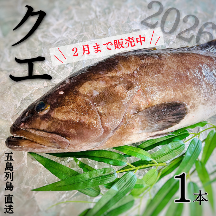 2026年もよろしくお願いします!