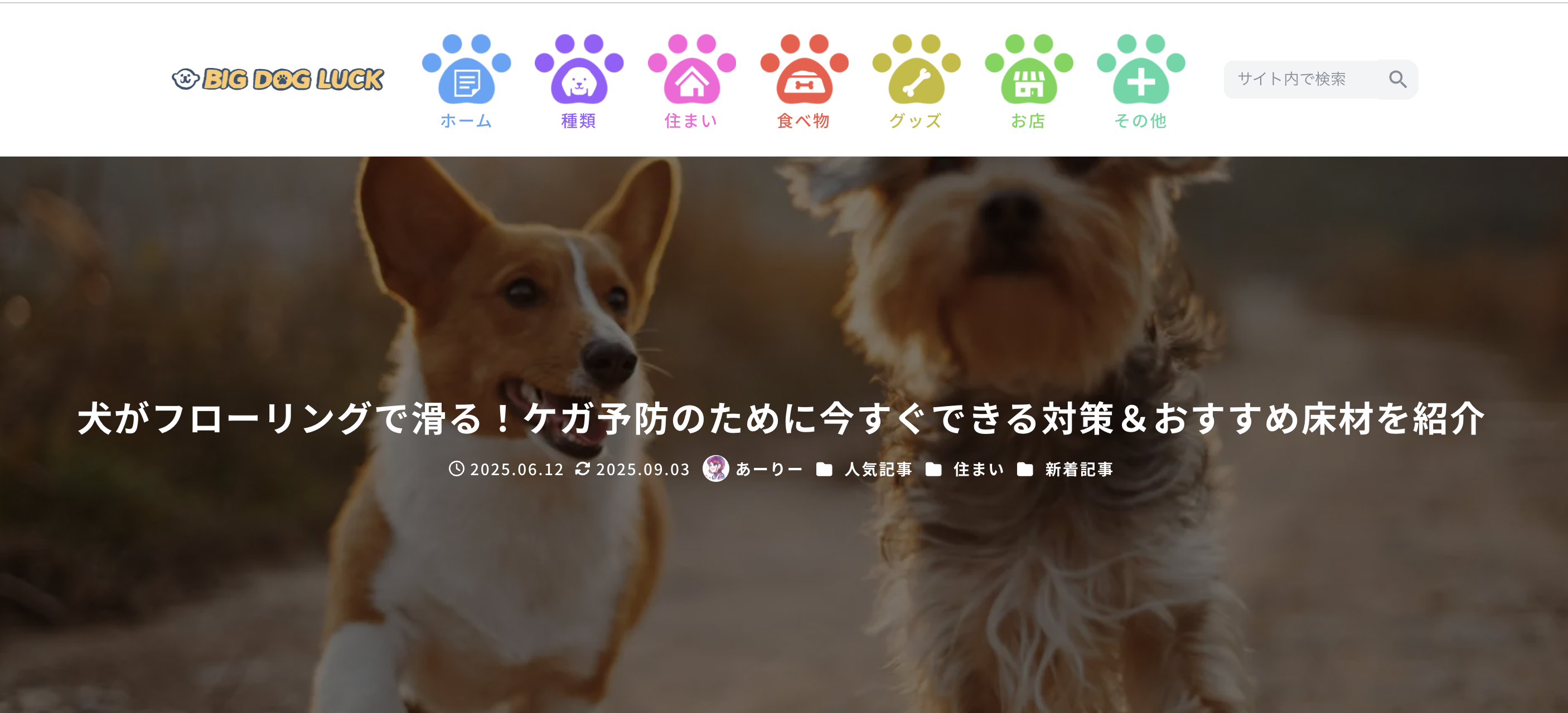 大型犬専門のサイトBIG DOG LUCKさんにご紹介いただきました!