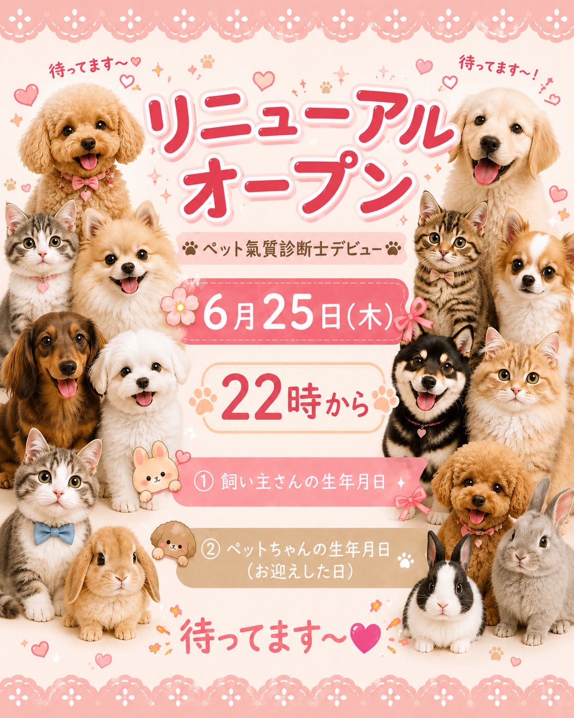 ペット氣質診断🐶🪽エンジェル🐈KEIKO先生💕TikTok Liveデビュー