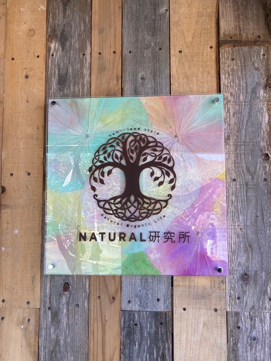 ナチュラル研究所、始まります。