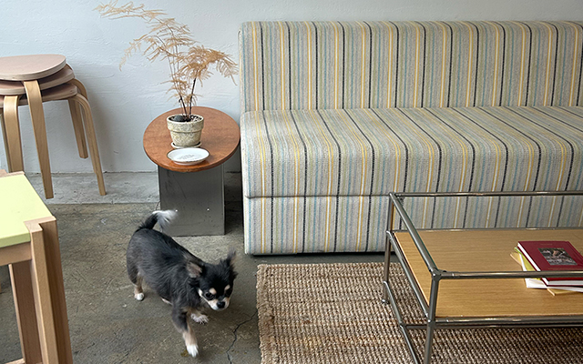 NEW OPEN | 東大門の朝を楽しむカフェ「코페드팔레츠」