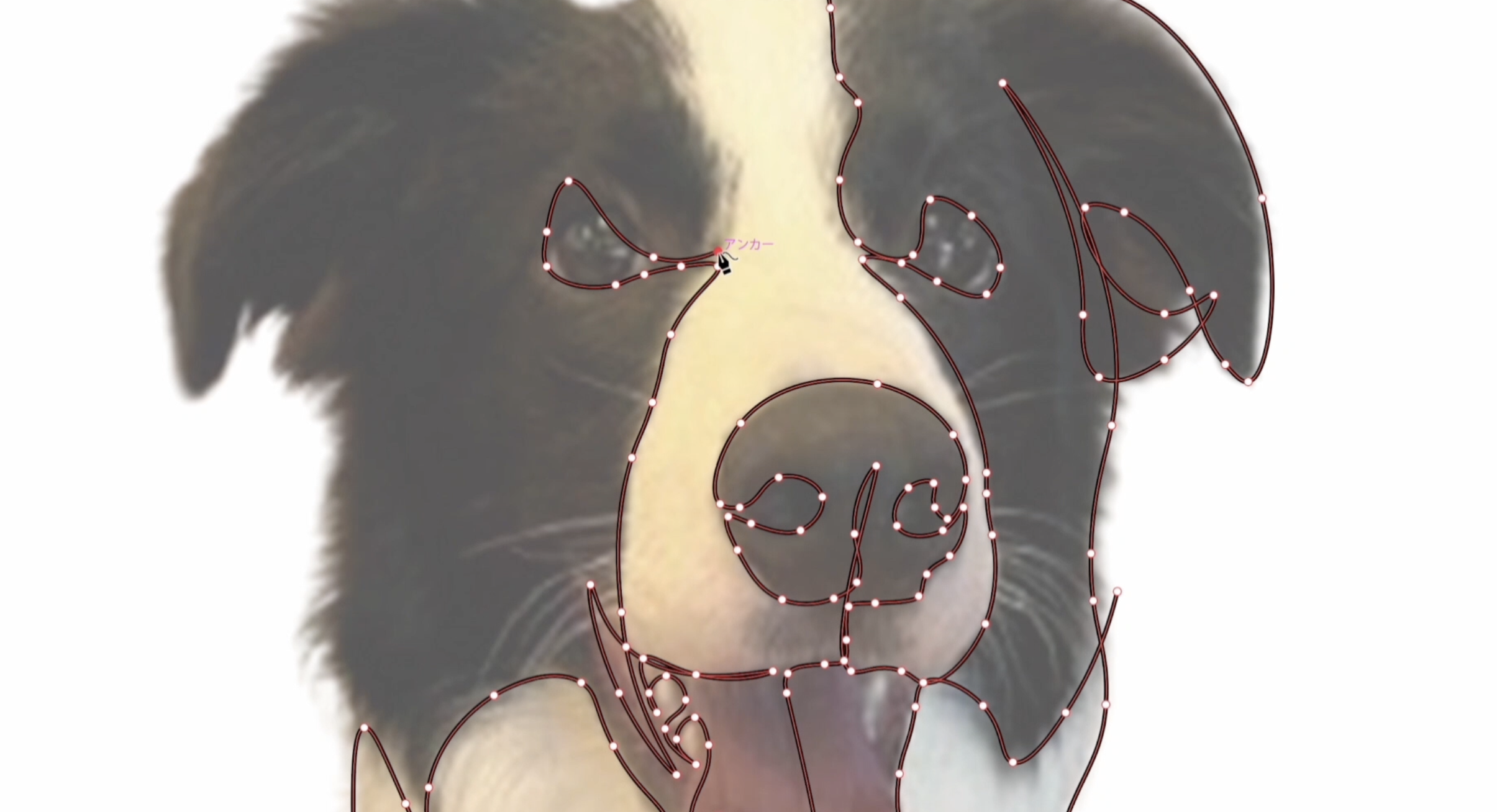 一筆描きの「うちの子」似顔絵ってどう描いてるの??