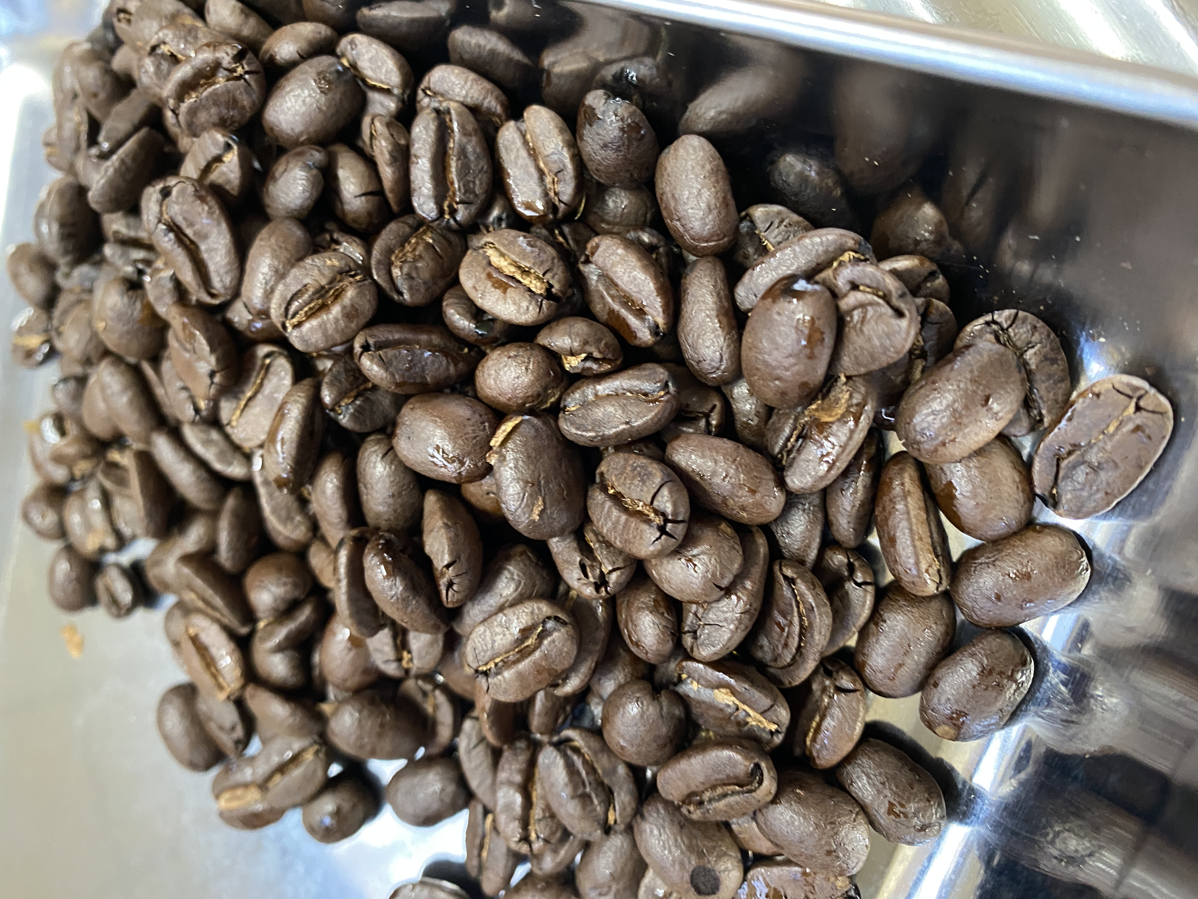 秋限定発売のお知らせ📢