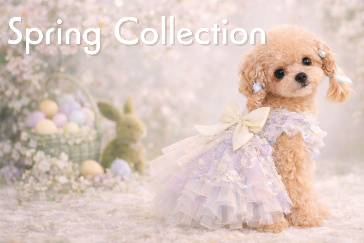 🌸Spring Collection start♡春のとっておきの一枚を
