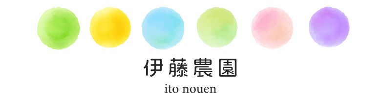公式ホームページ