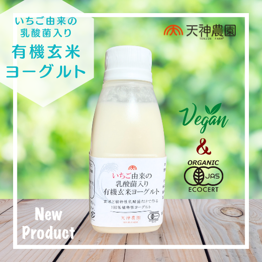 【新商品情報】完全植物性のヨーグルト「いちご由来の乳酸菌入り有機玄米ヨーグルト」