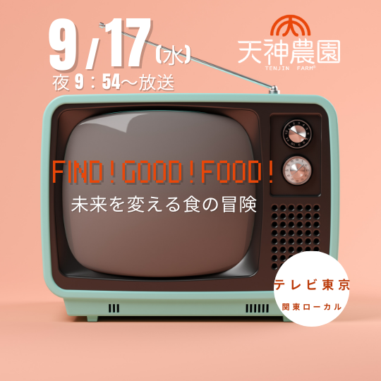 【メディア出演情報】テレビ出演のお知らせ