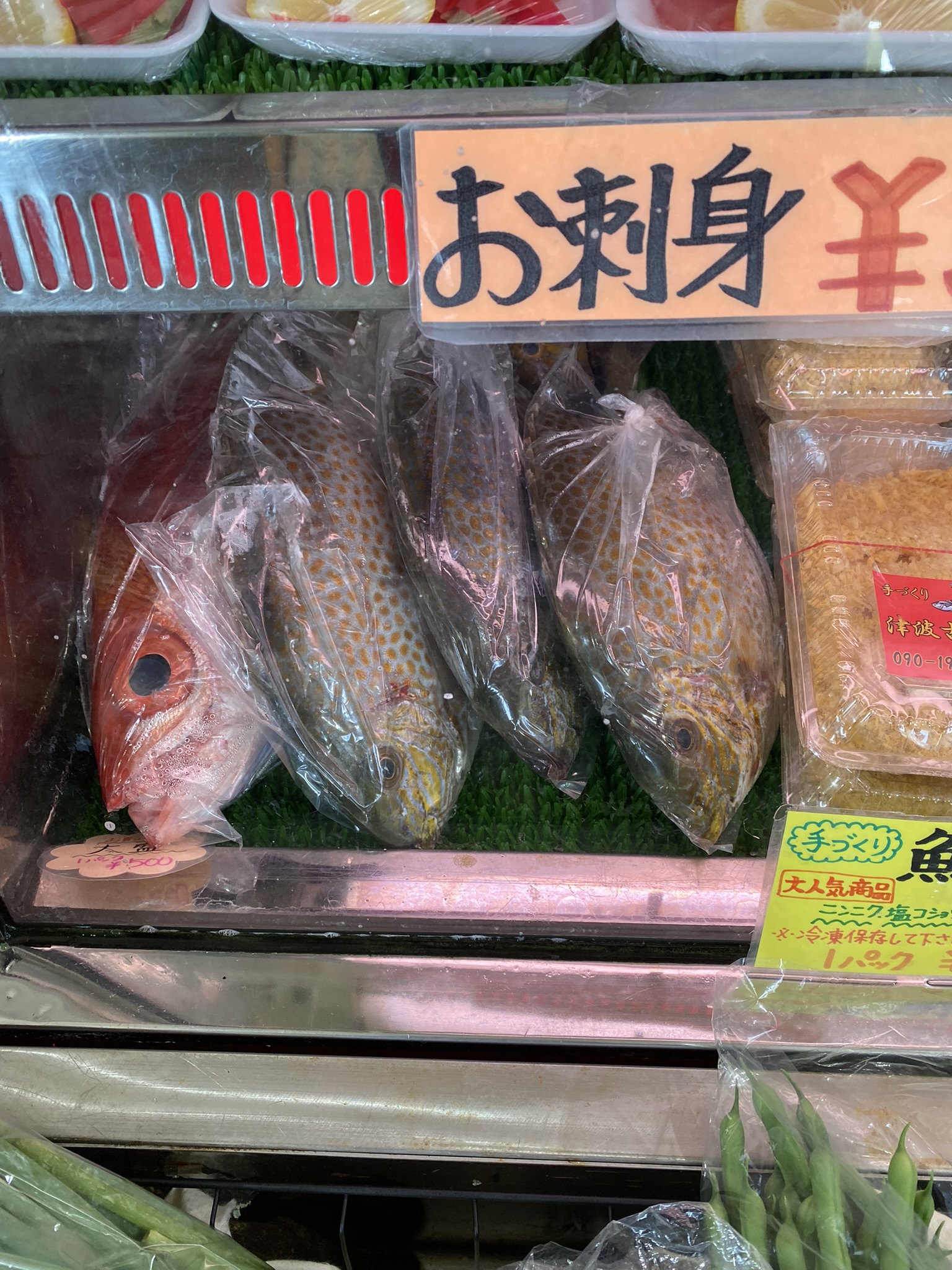 沖縄の新鮮お魚❗️