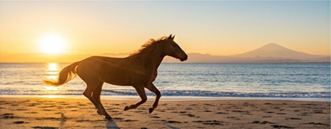 【すこやか家】山本店長のすこやか日記　2026年1月号