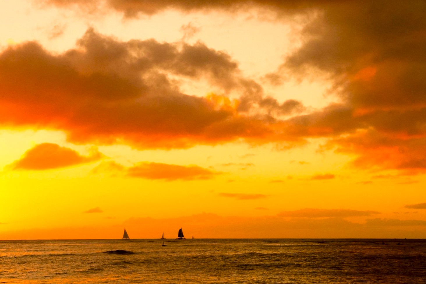 知っておきたい!💡💍 金相場とハワイアンジュエリーの関係🌺