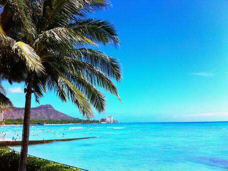 意味もデザインも好き。毎日つけたい14Kスクロールペンダント🌊✨